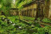 Beng Mealea Temple